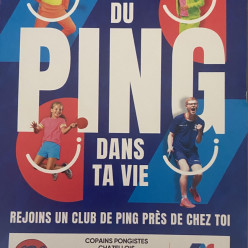 Licence 2026/2027
